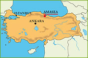 Amasea